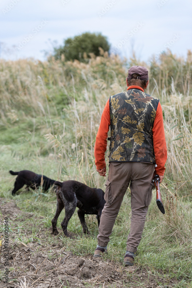 Mature hunter man holding a shotgun and walking through a field Mature hunter man holding a shotgun and walking through a field