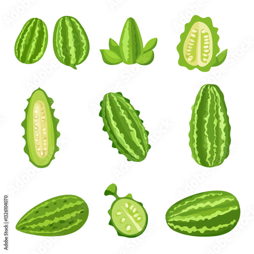 Very Simple flat 2D icon bitter melon set collection isolated on a white background, vector, flat design, animation design, simple flat 2D icon, minimalist design, clipart