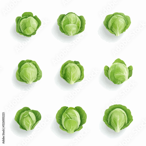 My Simple flat 2D icon green cabbage set isolated on a white background, vector, flat design, animation design, simple flat 2D icon, minimalist design, clipart plant set design