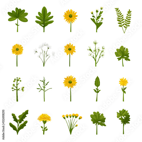 My Simple flat 2D icon dandelion greens and flower collection isolated on a white background, vector, flat design, animation design, simple flat 2D icon, minimalist design, clipart