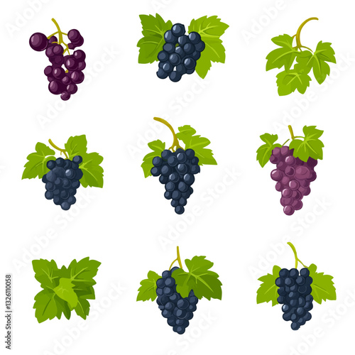Very Simple flat 2D icon colorful grapes set collection isolated on a white background, vector, flat design, animation design, simple flat 2D icon, minimalist design, clipart