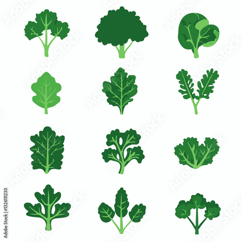 My Simple flat 2D icon kale leaves collection isolated on a white background, vector, flat design, animation design, simple flat 2D icon, minimalist design, clipart