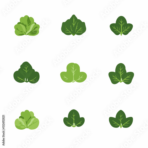 Very Simple flat 2D icon lettuce collection isolated on a white background, vector, flat design, animation design, simple flat 2D icon, minimalist design, clipart