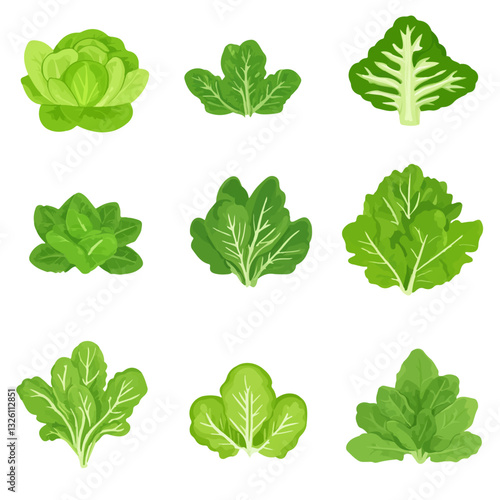 Very Simple flat 2D icon lettuce collection isolated on a white background, vector, flat design, animation design, simple flat 2D icon, minimalist design, clipart