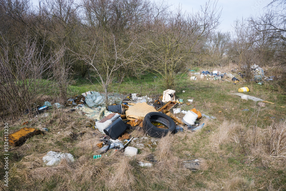Illegal waste dump in the forest. Ecological disaster. Human stupidity, pollution of our own environment, the planet.