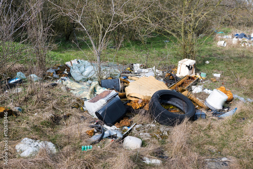 Obraz na płótnie Illegal waste dump in the forest. Ecological disaster. Human stupidity, pollution of our own environment, the planet.
w salonie