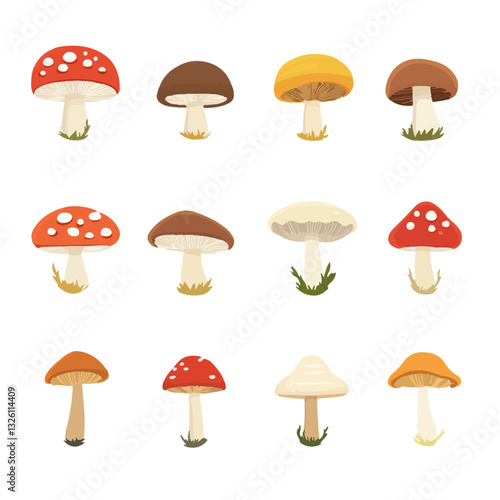 Very Simple flat 2D icon colored mushroom set isolated on a white background, vector, flat design, vector, flat design, animation design, flat 2D icon, minimalist design, vector