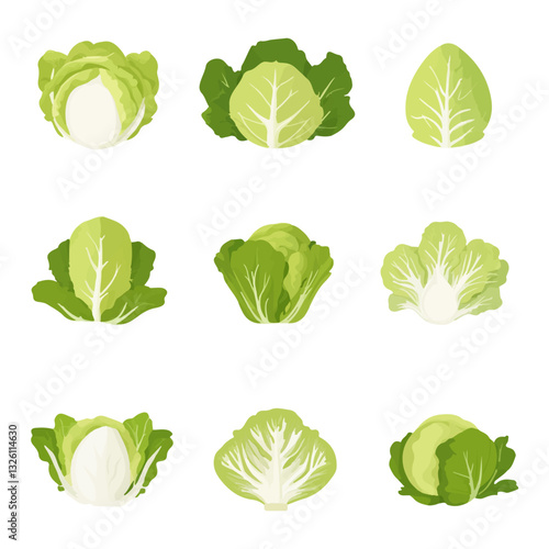 Very Simple flat 2D icon napa cabbage set isolated on a white background, vector, flat design, vector, flat design, animation design, flat 2D icon, minimalist design, vector