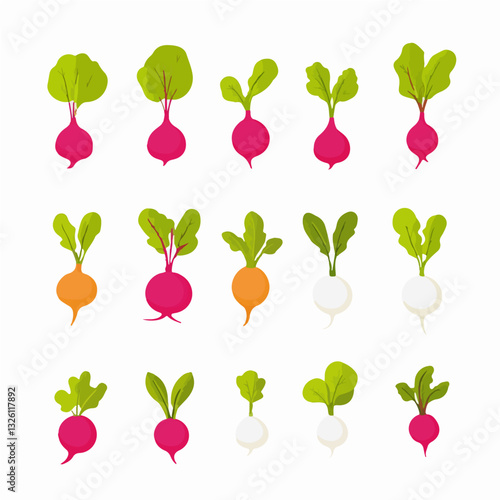 Very Simple flat 2D icon radish set isolated on a white background, vector, flat design, vector, flat design, animation design, flat 2D icon, minimalist design, vector