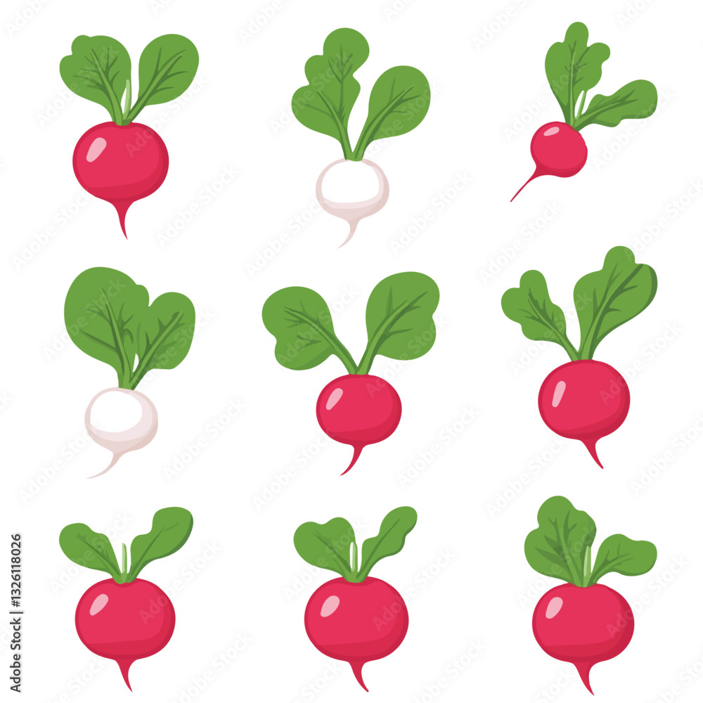 Very Simple flat 2D icon white and red radish set isolated on a white background, vector, flat design, vector, flat design, animation design, flat 2D icon, minimalist design, vector Very Simple flat 2D icon white and red radish set isolated on a white background, vector, flat design, vector, flat design, animation design, flat 2D icon, minimalist design, vector