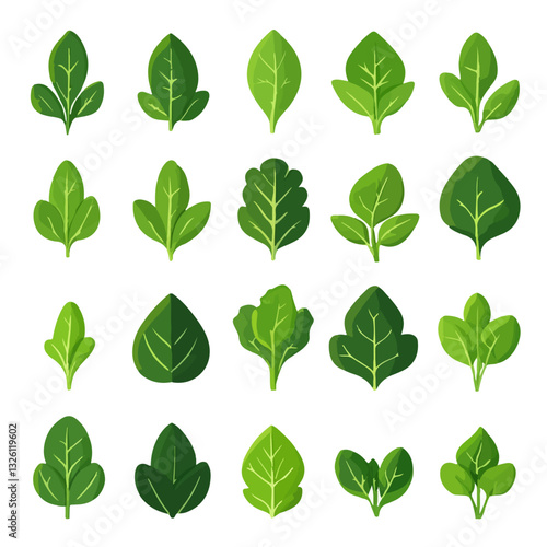 Very Simple flat 2D icon green spinach leaves set isolated on a white background, vector, flat design, vector, flat design, animation design, flat 2D icon, minimalist design, vector