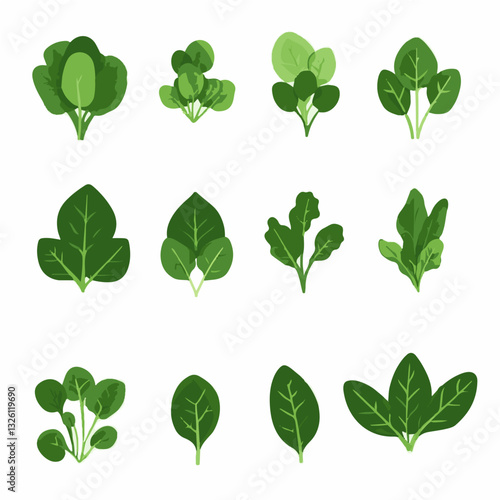 Very Simple flat 2D icon spinach leaves set isolated on a white background, vector, flat design, vector, flat design, animation design, flat 2D icon, minimalist design, vector