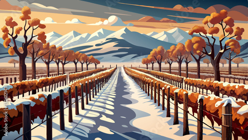 Vineyard rows covered in snow with brown leaves on vines, stretching towards the horizon. The landscape is cold and wintry with distant hills and a cloudy 