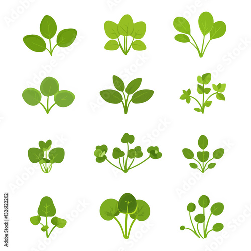 Very Simple flat 2D icon green watercress set isolated on a white background, vector, flat design, vector, flat design, animation design, flat 2D icon, minimalist design, vector