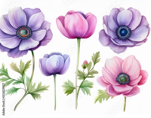 Wallpaper Mural Set anemones flowers. Botanical watercolor floral illustration for design. Generated image Torontodigital.ca