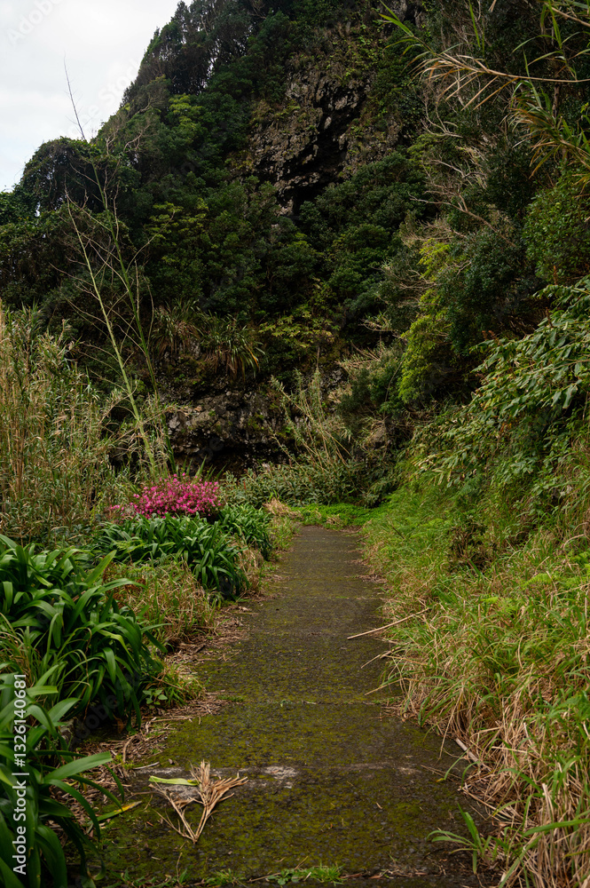 Fototapeta premium Cliff view of black sand beaches on tropical island 