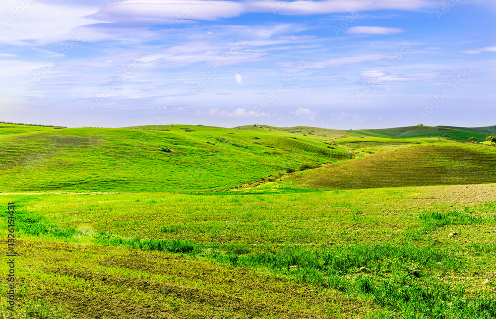 Beautiful landscape of green spring season field with salad grass, farm with garden and sunset or sunrise scenic sky Beautiful landscape of green spring season field with salad grass, farm with garden and sunset or sunrise scenic sky