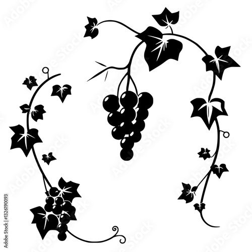 Elegant Black and White Silhouette of Grape Vines with Clusters of Grapes, Illustrating Nature's Beauty and Artistic Composition.