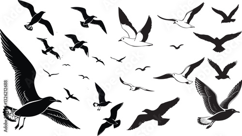 Different kind of bird group.