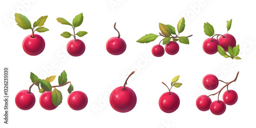 Pack Cranberry Fruit Set Against Transparent Background for Healthy Food Branding, Organic Product Packaging, or Juice Advertisements