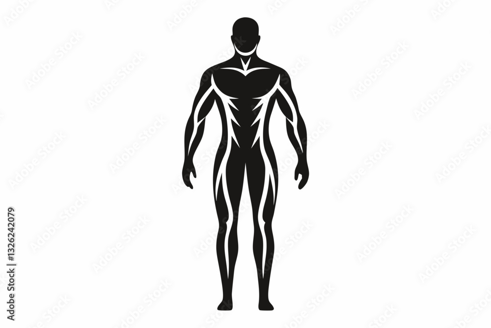 human body line art silhouette vector illustration human body line art silhouette vector illustration