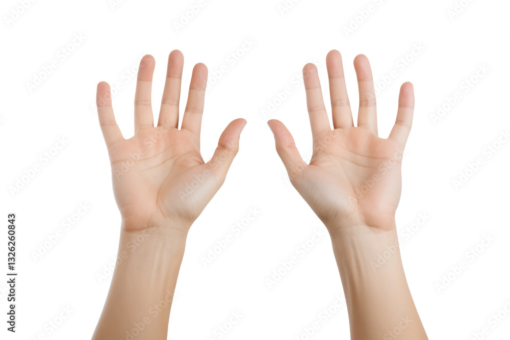 open hands isolated on white or transparent png open hands isolated on white or transparent png