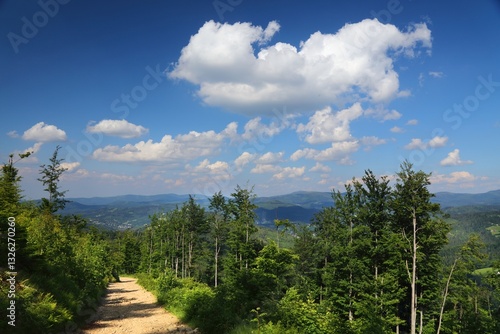 Fototapeta Naklejka Na Ścianę i Meble -  Stozek mountain trail in Beskidy, Poland