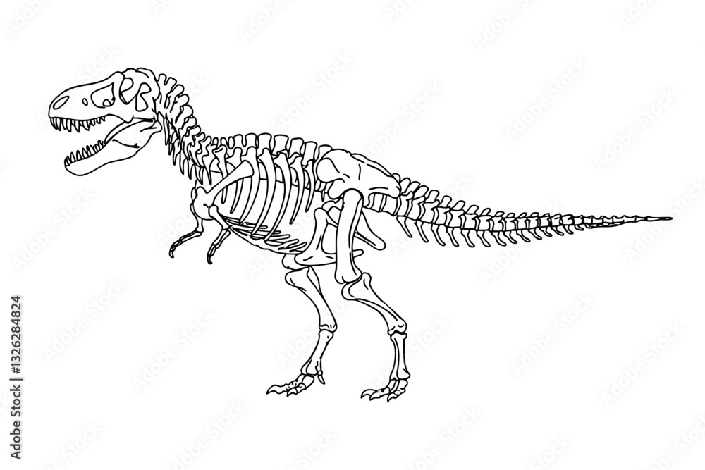 Tyrannosaurus skeleton line art illustration Tyrannosaurus skeleton line art illustration