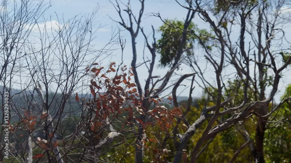 Leaves on trees swaying gently in the wind, creating a calming motion against the backdrop of a clear sky, capturing the peaceful essence of nature.