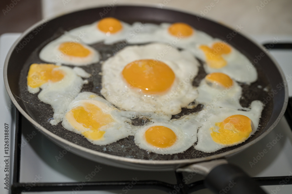 Chicken egg and 9 quail eggs in frying pan. Chicken egg and 9 quail eggs in frying pan.
