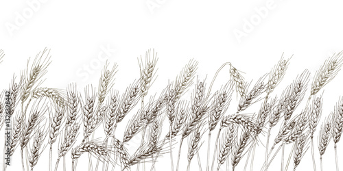 Hand drawn wheat ears seamless border