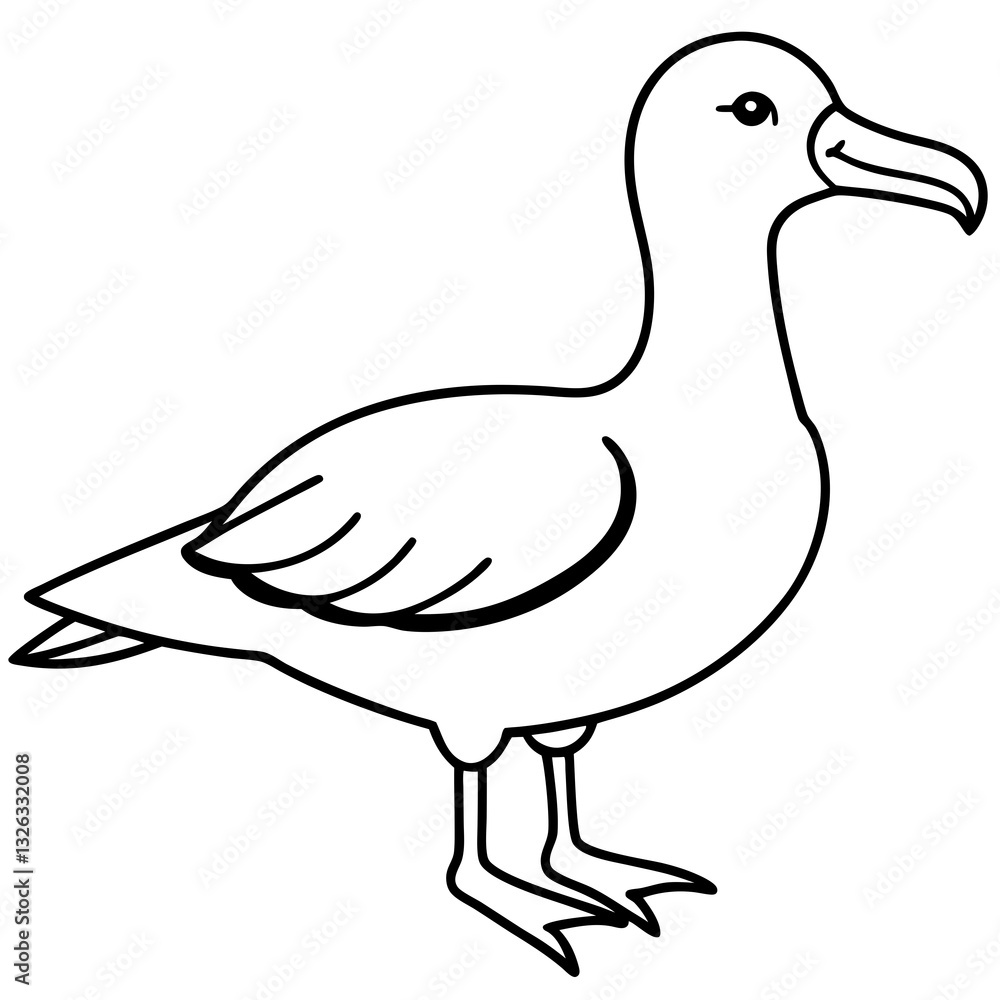 Sleek Albatross Outline in Vector Design Sleek Albatross Outline in Vector Design