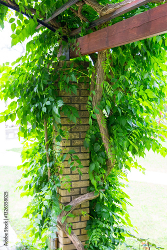 Stone fence in the garden