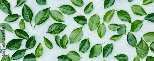 Antioxidant Extracts plant based concept. Scattered green leaves on a light background create a natural, fresh aesthetic.