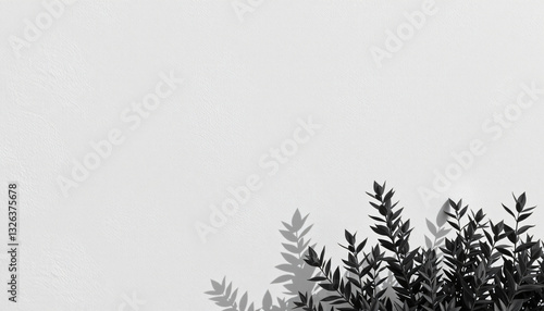 White Wall with Black Leaves Silhouette for Nature and Minimalist Design