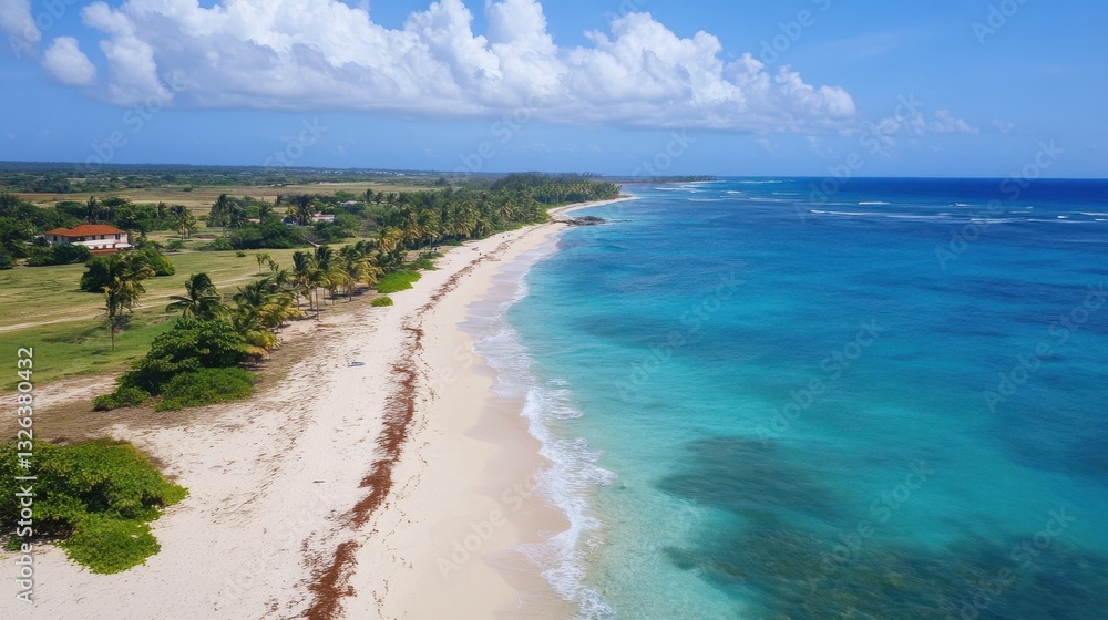 Aerial view of a serene beach with turquoise waters, white sand, palm trees, and lush vegetation under a partly cloudy blue sky Aerial view of a serene beach with turquoise waters, white sand, palm trees, and lush vegetation under a partly cloudy blue sky