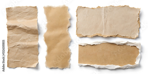 Wallpaper Mural Torn Brown Paper with Ripped Edges and Cardboard Fragments on White Background Torontodigital.ca