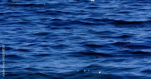 blue water surface