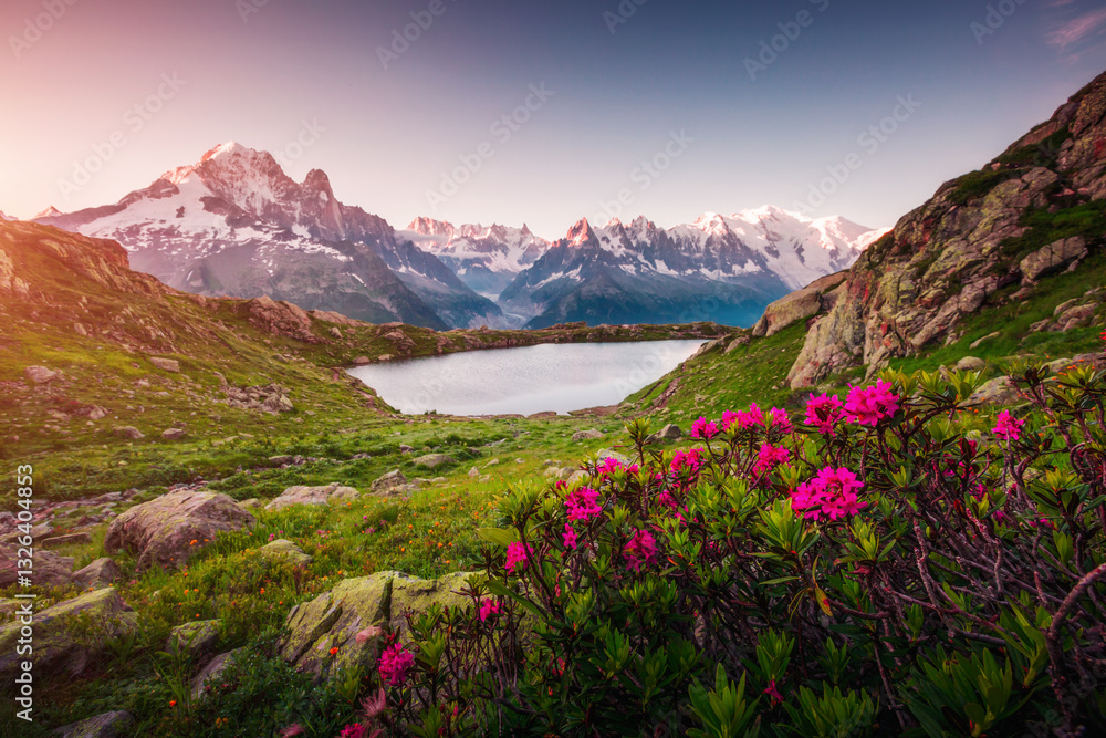 Idyllic morning scene of high alpine lake Lac Blanc and Mont Blanc massif. Location place Chamonix resort, Graian Alps, France, Europe. Idyllic morning scene of high alpine lake Lac Blanc and Mont Blanc massif. Location place Chamonix resort, Graian Alps, France, Europe.