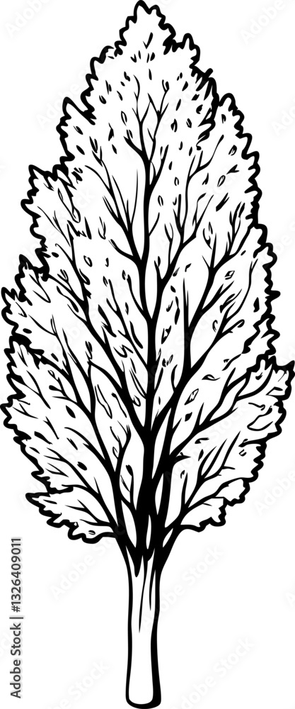 Obraz premium Detailed black and white tree illustration on white background for nature and botanical art