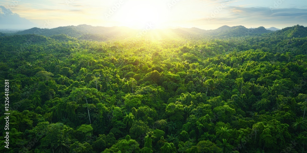Fototapeta premium Ecological impact wildlife protection concept. Lush green forest landscape with sunlight breaking through the trees.