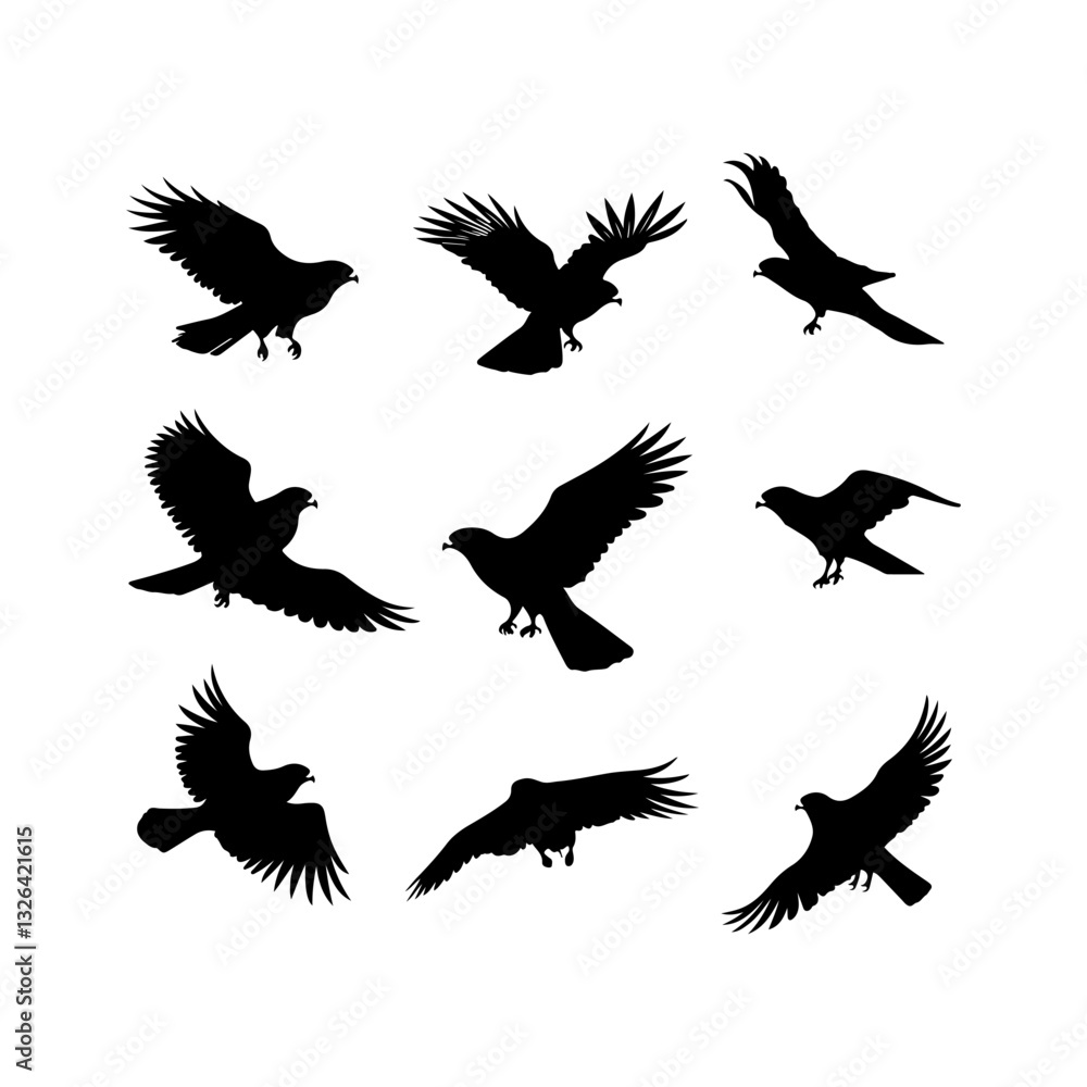 Falcon silhouette on white vector set items Falcon silhouette on white vector set items
