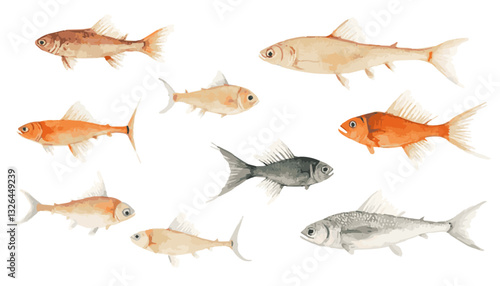 Precise Watercolor Fish Species Illustration with Scientific Botanical Accuracy