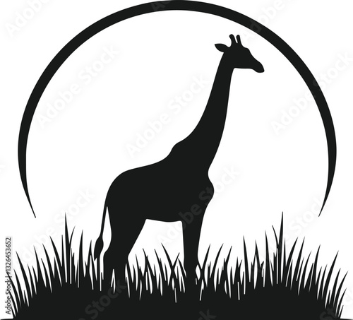 Photography giraffe in the grass vector