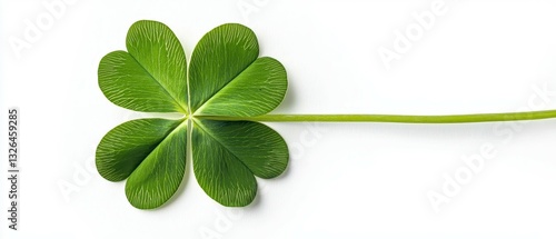 Lucky Green Four Leaf Clover Symbol of Irish Heritage and Good Fortune on White Background
