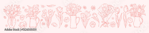 Spring tulip flower set, Easter blossom vector doodle, hand drawn nature floral line illustration. Garden bloom bouquet collection, minimal elegant herb sketch, petal leaf, vase. Vintage tulip flower