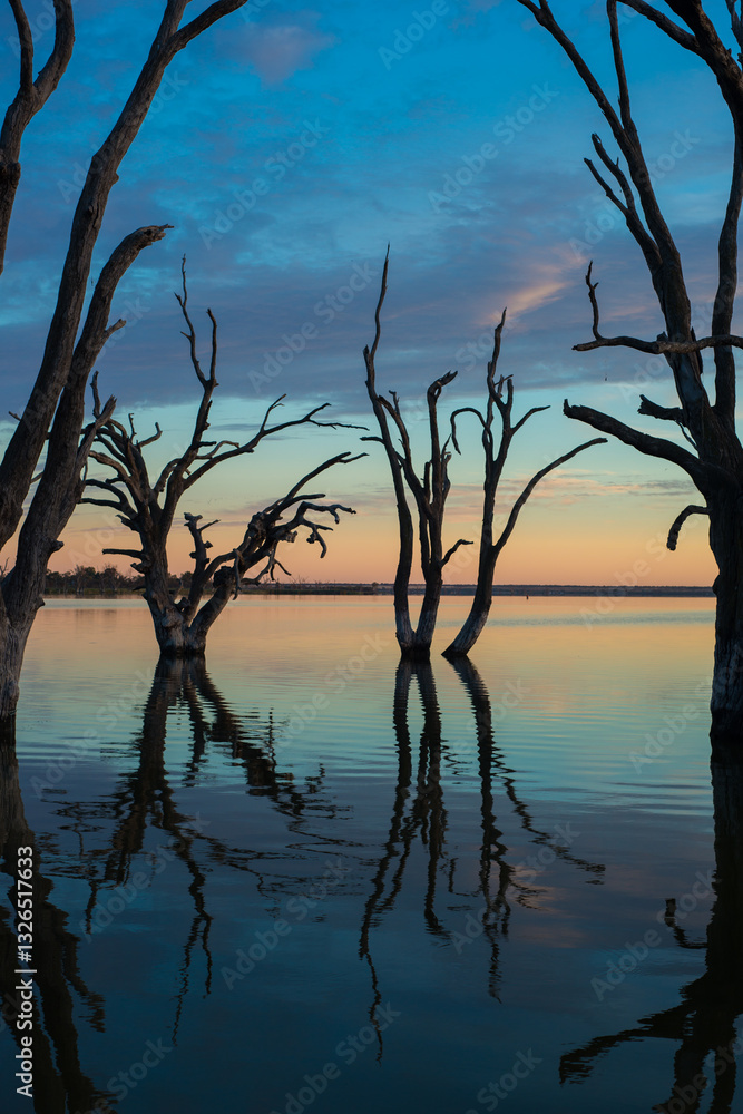 Silhouette trees on lake river at sunrise Silhouette trees on lake river at sunrise