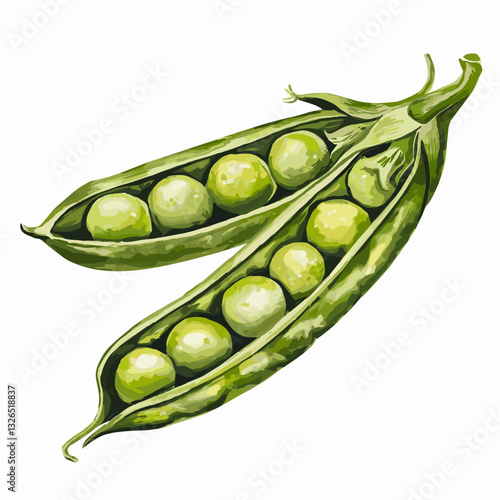 Watercolor Illustration of Fresh Green Pea Pods