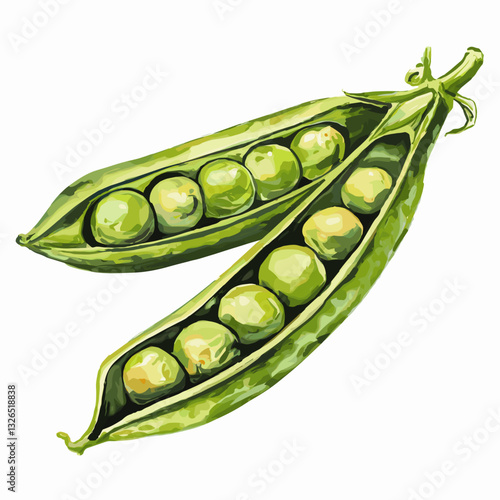 Watercolor Illustration of Fresh Green Pea Pods