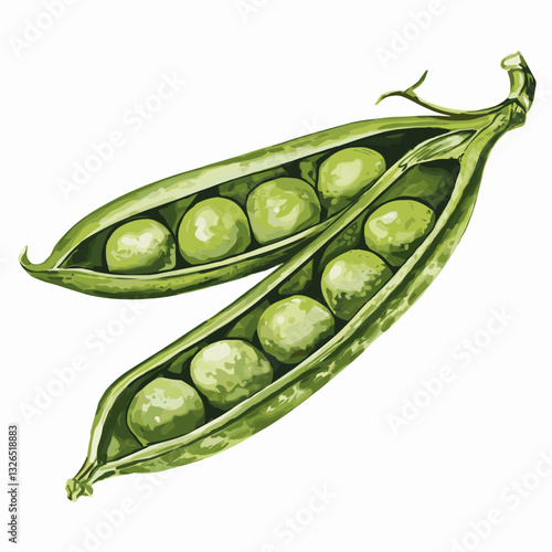 Watercolor Illustration of Fresh Green Pea Pods
